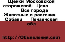 Щенки Московской сторожевой › Цена ­ 35 000 - Все города Животные и растения » Собаки   . Пензенская обл.